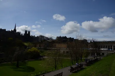 DSC_7332 (Large).JPG